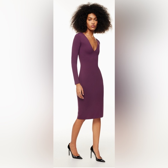 Aritzia Babaton Bodycon dress - Picture 6 of 6